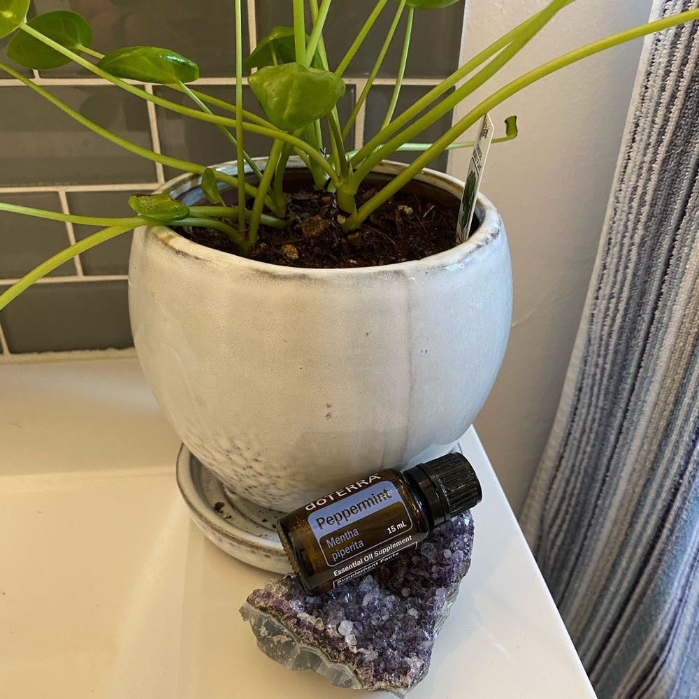 dōTERRA Peppermint Oil